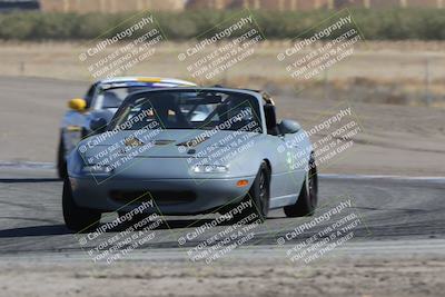 media/Oct-21-2023-Speed Ventures (Sat) [[ddf75163c5]]/Green/Grapvine/